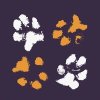 Dogs 4 Rescue logo - Similar company to Thin Blue Paw Foundation