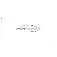 Redbridge Consulting Ltd. logo - Similar company to N-Ware Kft.
