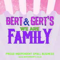 BERT AND GERTS LTD logo - Similar company to Leethelandscaper Ltd