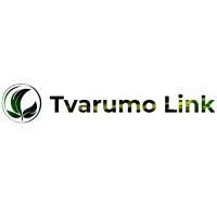 Tvarumo Link - konsultacijos verslui logo - Similar company to Impact Advisory