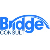 BRIDGE CONSULT LLC logo - Similar company to Oddiy Consult