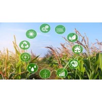 FarmNest Strategies logo - Similar company to Analytical Insiders Pro