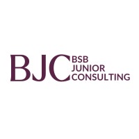 BSB Junior Consulting logo - Similar company to Bsb Consulting