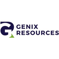 Genix Resources Private Limited logo - Similar company to Maatrix