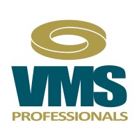 VMS Professionals logo - Similar company to Dexian It Solutions