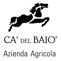 Ca' Del Baio logo - Similar company to Stone Castle