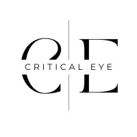 Critical Eye logo - Similar company to Criticaleye