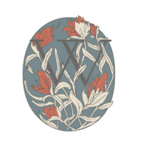 Womenfolk Jackson Hole logo - Similar company to Snake River Fund