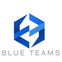 BLUE TEAMS logo - Similar company to Digital Wave