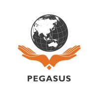 Pegasus International College logo - Similar company to Lotus Coders