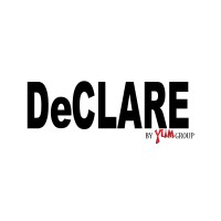DeCLARE logo - Similar company to Declare
