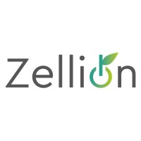 Zellion LLC logo - Similar company to دشتى قه رداغ
