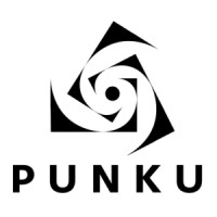Punku SpA logo - Similar company to Tecnoingeniería