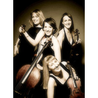Bridgewater String Quartet logo - Similar company to Fungall Cic
