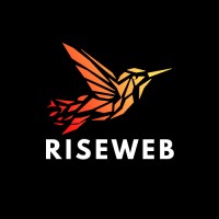 RiseWeb logo - Similar company to Torus It Solutions