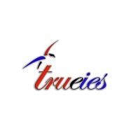 Trueies Smart Surveillance (TSS) logo - Similar company to V380 Camera