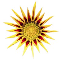 Title Junction, LLC logo - Similar company to John C. Cassidy Air Conditioning And Plumbing, Inc.
