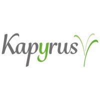 Kapyrus logo - Similar company to Perfony