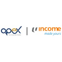 APEX GROUP logo - Similar company to Impello Global