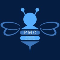 Program Management Consulting LLC logo - Similar company to Enterprise Agility Consulting