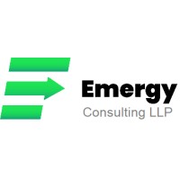 Emergy Consulting LLP logo - Similar company to Pt Systems
