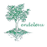 Endelevu Ltd. logo - Similar company to Groves Group