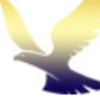 Triumph Aviation logo - Similar company to Web Visionaries Report