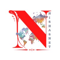 NishasNet Private Limited logo - Similar company to Sol Trips Inc.