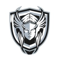 Valquiria Company logo - Similar company to Valquiria Studio