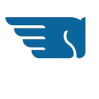 Pegasus Inspections & Consulting