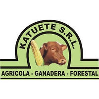 Katuete SRL logo - Similar company to Eco Trading