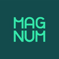 Magnum Performance Agency logo - Similar company to Appstand