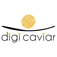 DigiCaviar logo - Similar company to Maco Designs