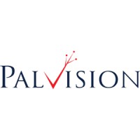 PalVision Group logo - Similar company to Arise Global Solutions