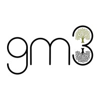gm3 logo - Similar company to Gm³
