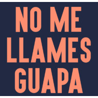 No Me Llames Guapa logo - Similar company to Sareur