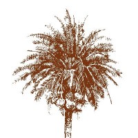 Heenat Salma logo - Similar company to Vfarms