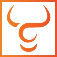 Toro Neurovascular logo - Similar company to Sonovascular, Inc.