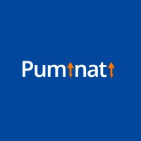 Puminati Digital logo - Similar company to Digital Quest (Dq)