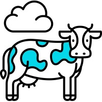 Aquacow Networks