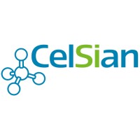 CelSian logo - Similar company to Delft Blockchain Lab