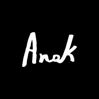 Anak logo - Similar company to Bravo