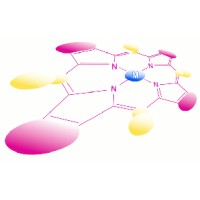 Society of Porphyrins and Phthalocyanines logo - Similar company to Ifom