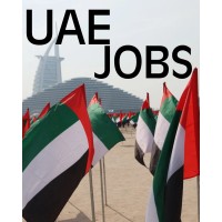 High-Paying Jobs in Dubai & UAE logo - Similar company to Appnlab