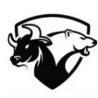 Academia de Day Trading logo - Similar company to Bull & Bear Academy