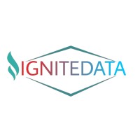 Ignite Data LLC logo - Similar company to Ignite Data Solutions