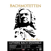 Luthers Bach Ensemble logo - Similar company to Training & Consultancy Services