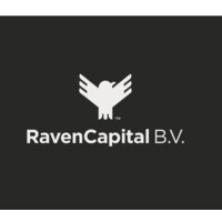 Raven Capital B.V. logo - Similar company to Raven Capital