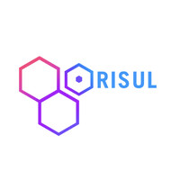 PT Orisul Digital Agensi logo - Similar company to Virtual Capital