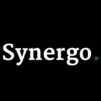 Synergo Consulting Pte Ltd logo - Similar company to Milestone Physiotherapy